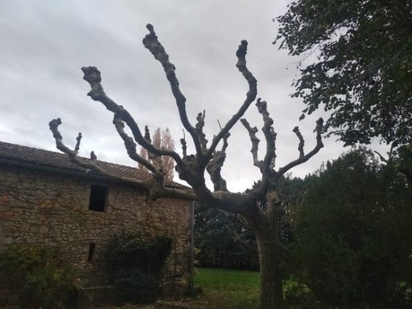 Chantier baudet   photo 1